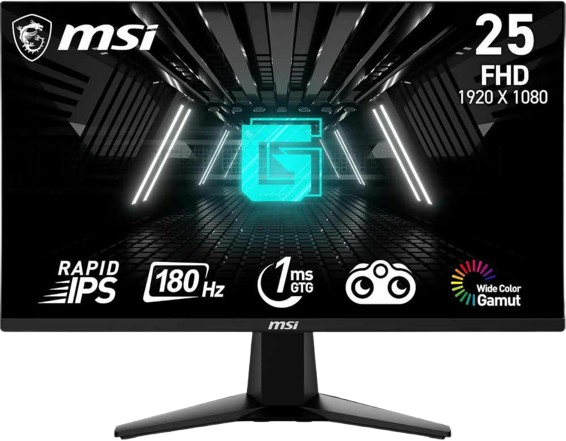 LG UltraGear 24GS65F-B